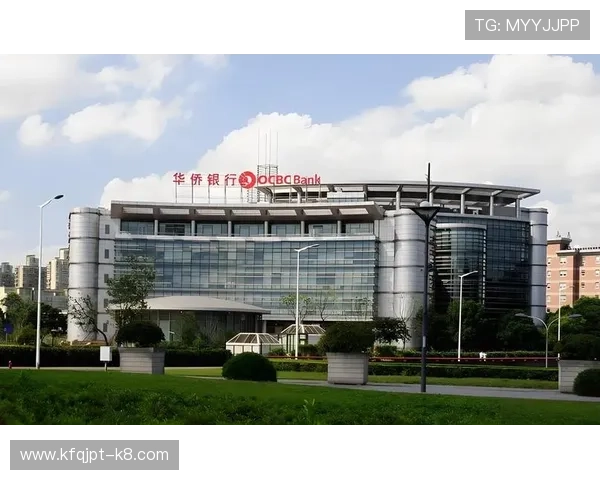 全面解析K8凯发现金开户步骤与注意事项确保账户安全稳定