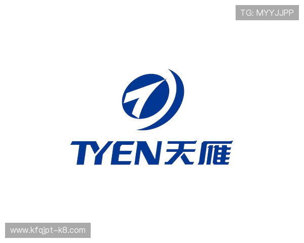 凯发集团发展历程与企业简介全景回顾，助力投资者全面把握企业未来发展方向